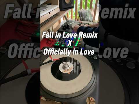 Fall In Love X Officially in Love #hiphop  #djmix #boombap #vinyl