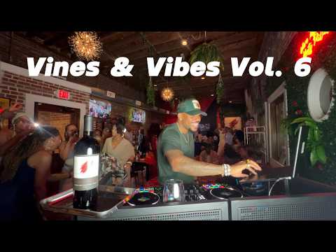 Vines & Vibes Vol.  6 | R&B, Hip-Hop, Throw-backs & Mash-ups | DJ Mix | (Live Party Session)